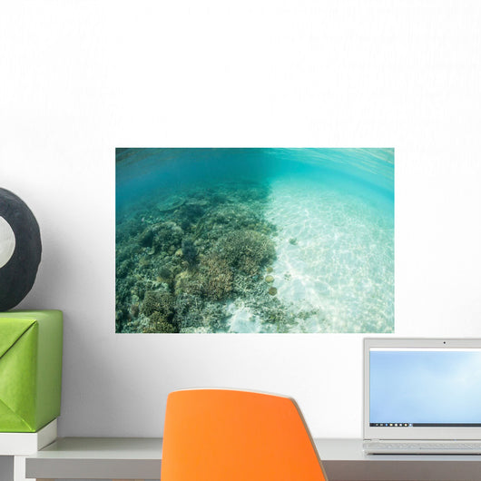 Reef-building Corals Are Encroached Wall Decal