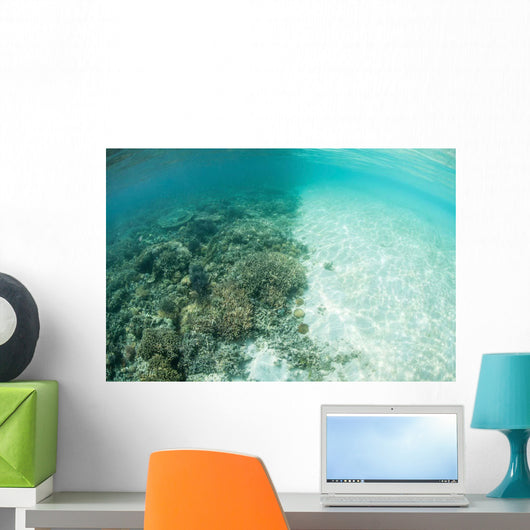 Reef-building Corals Are Encroached Wall Decal