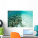Reef-building Corals Are Encroached Wall Decal