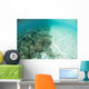 Reef-building Corals Are Encroached Wall Decal