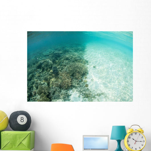 Reef-building Corals Are Encroached Wall Decal