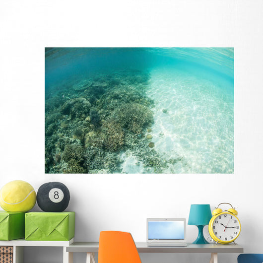 Reef-building Corals Are Encroached Wall Decal