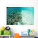 Reef-building Corals Are Encroached Wall Decal