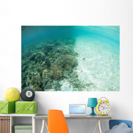 Reef-building Corals Are Encroached Wall Decal