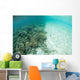 Reef-building Corals Are Encroached Wall Decal