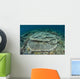 Corals Grow Shallow Reef Wall Decal Design 4