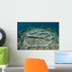 Corals Grow Shallow Reef Wall Decal Design 4