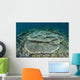 Corals Grow Shallow Reef Wall Decal Design 4