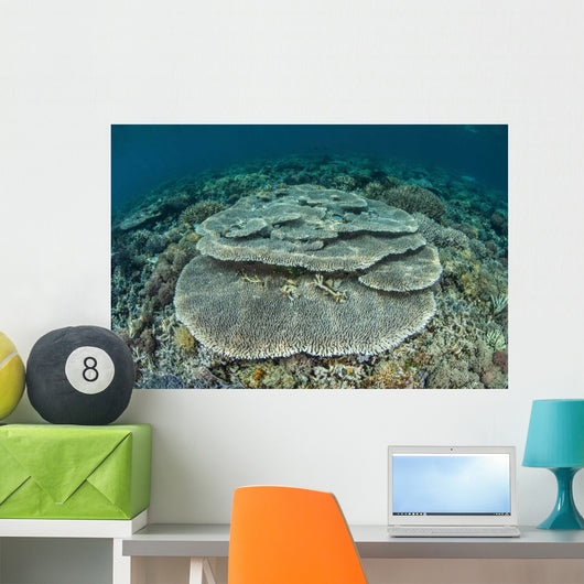 Corals Grow Shallow Reef Wall Decal Design 4