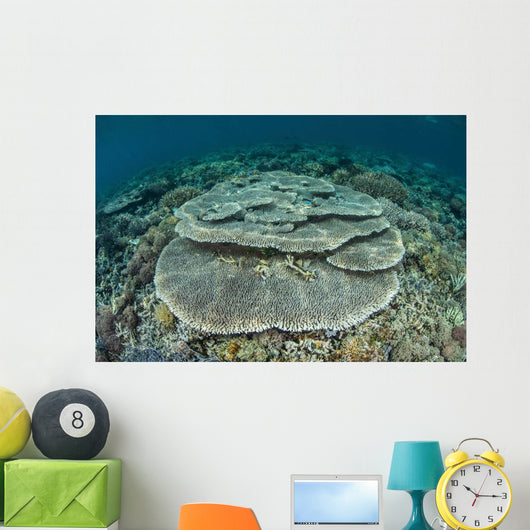 Corals Grow Shallow Reef Wall Decal Design 4