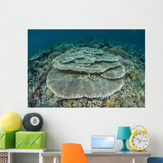 Corals Grow Shallow Reef Wall Decal Design 4