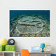 Corals Grow Shallow Reef Wall Decal Design 4