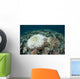 Coral Colonies Are Beginning Wall Decal Design 2