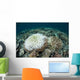 Coral Colonies Are Beginning Wall Decal Design 2