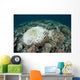 Coral Colonies Are Beginning Wall Decal Design 2