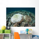 Coral Colonies Are Beginning Wall Decal Design 2