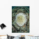 Coral Colonies Are Beginning Wall Decal Design 1