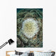 Coral Colonies Are Beginning Wall Decal Design 1