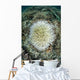 Coral Colonies Are Beginning Wall Decal Design 1