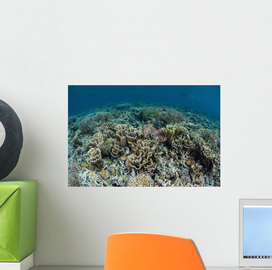 Delicate Corals Grow near Wall Decal Design 3