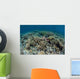 Delicate Corals Grow near Wall Decal Design 3