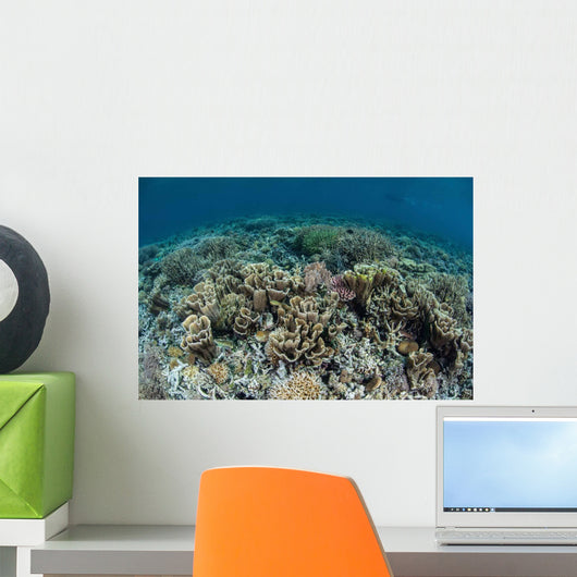 Delicate Corals Grow near Wall Decal Design 3