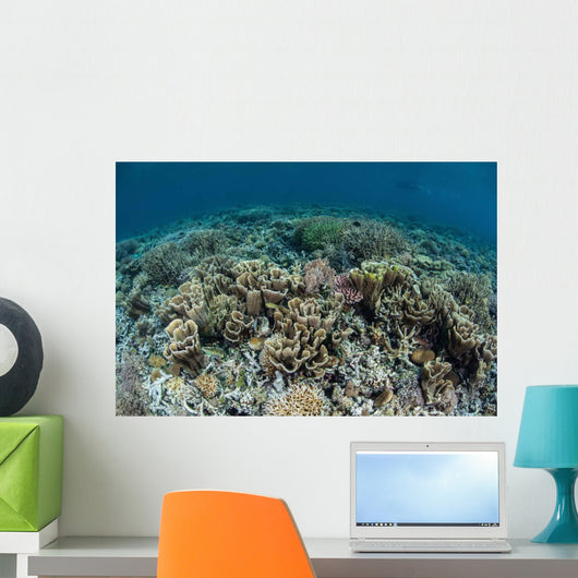 Delicate Corals Grow near Wall Decal Design 3