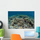 Delicate Corals Grow near Wall Decal Design 3