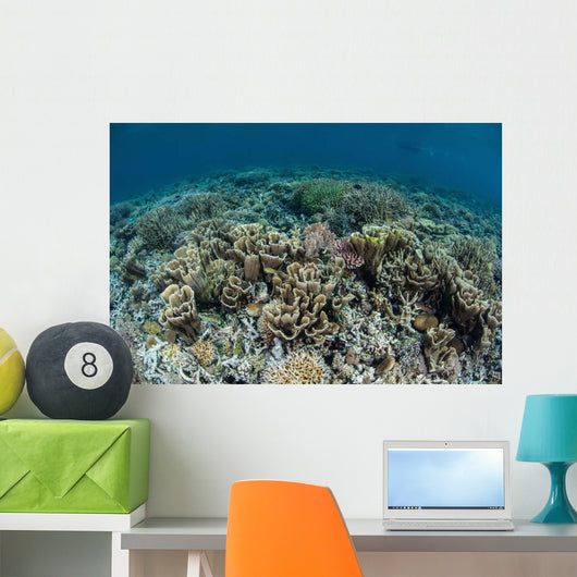 Delicate Corals Grow near Wall Decal Design 3