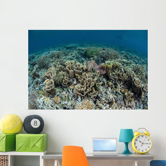 Delicate Corals Grow near Wall Decal Design 3