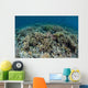 Delicate Corals Grow near Wall Decal Design 3