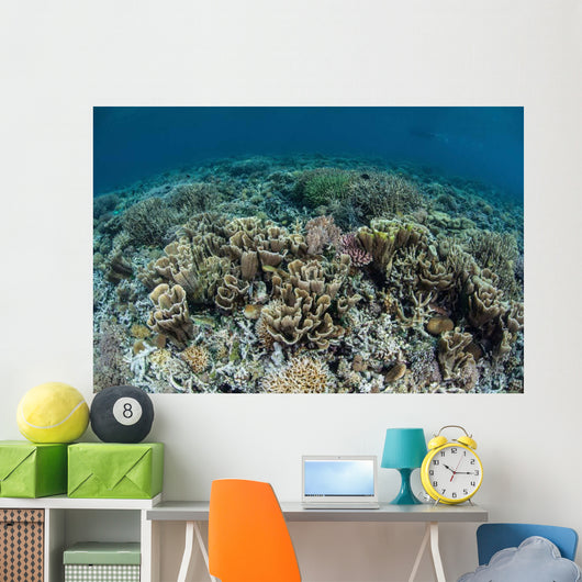 Delicate Corals Grow near Wall Decal Design 3