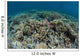 Delicate Corals Grow near Wall Decal Design 3