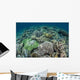 Delicate Reef-building Corals Raja Wall Decal Design 2