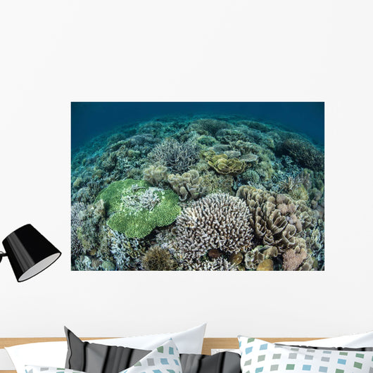 Delicate Reef-building Corals Raja Wall Decal Design 2