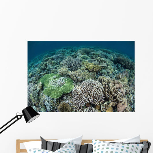 Delicate Reef-building Corals Raja Wall Decal Design 2
