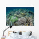 Delicate Reef-building Corals Raja Wall Decal Design 2