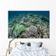 Delicate Reef-building Corals Raja Wall Decal Design 2