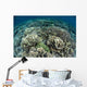 Delicate Reef-building Corals Raja Wall Decal Design 1