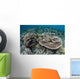 Delicate Corals Grow near Wall Decal Design 2