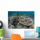 Delicate Corals Grow near Wall Decal Design 2