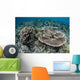 Delicate Corals Grow near Wall Decal Design 2