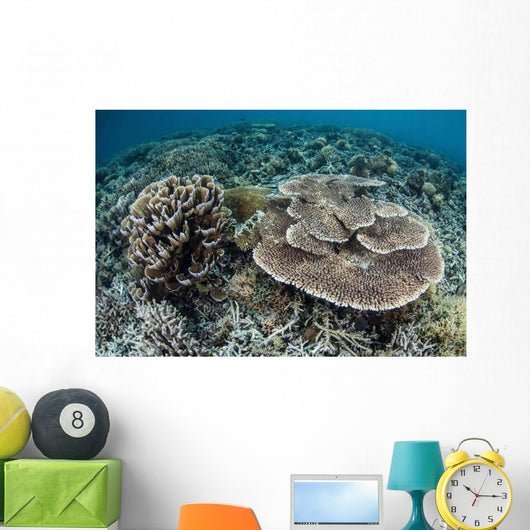 Delicate Corals Grow near Wall Decal Design 2