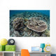 Delicate Corals Grow near Wall Decal Design 2