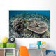 Delicate Corals Grow near Wall Decal Design 2