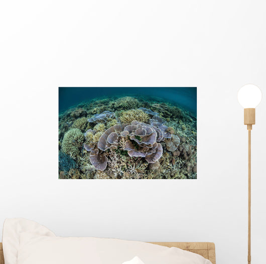 Delicate Corals Grow near Wall Decal Design 1