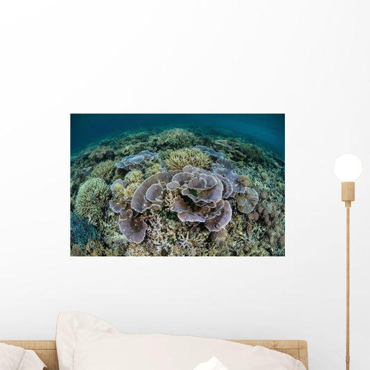 Delicate Corals Grow near Wall Decal Design 1