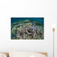 Delicate Corals Grow near Wall Decal Design 1