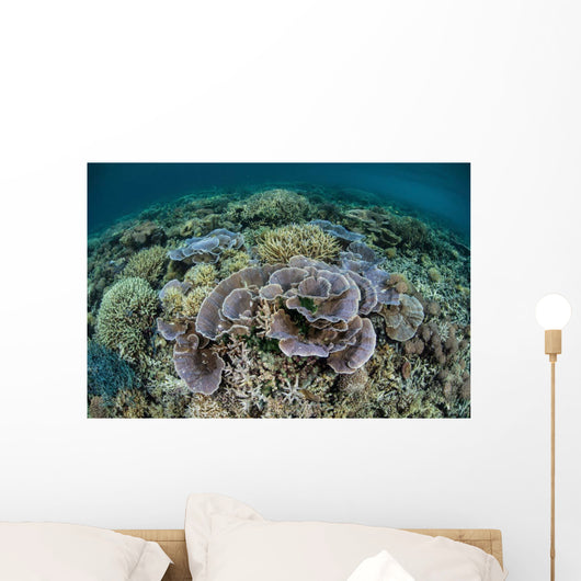 Delicate Corals Grow near Wall Decal Design 1