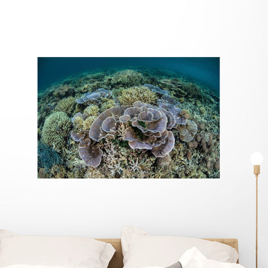 Delicate Corals Grow near Wall Decal Design 1